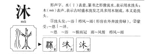 沐字五行|沐字的五行属性